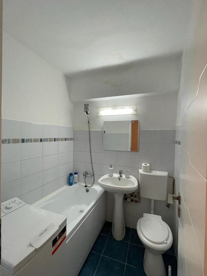 Bega Circumvalatiunii 1 Room Apartament - 2 Timişoara Buitenkant foto
